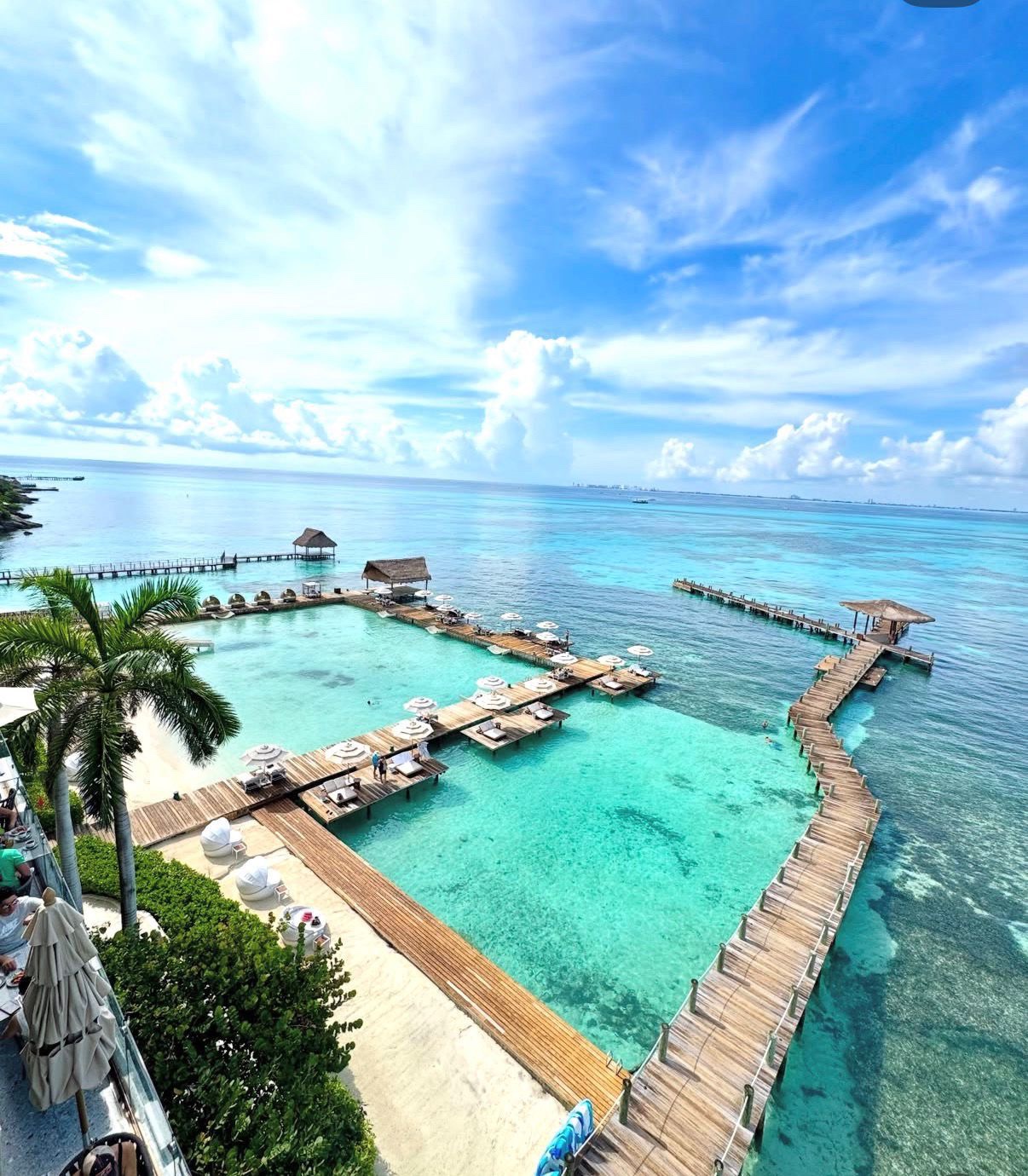 Camino de tierra entre árboles