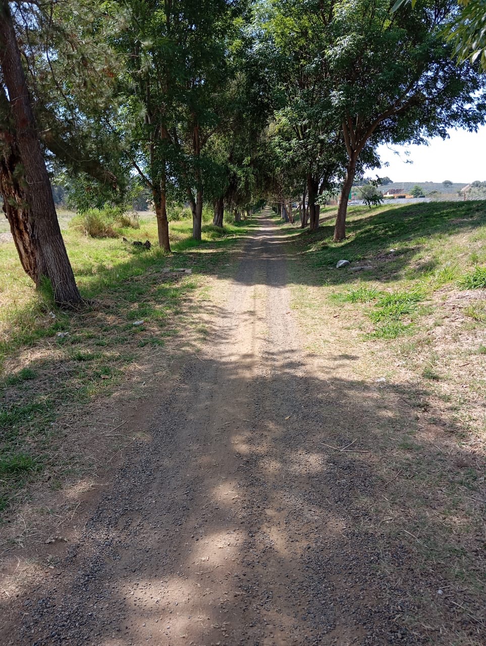 Vista turística de mar y muelles